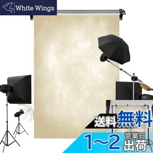 yzKate 1.5x2.2m  Vp̋ wiz eNX` F ʐ^ wi lBe Bep wi z JX^}CY\wi