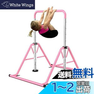 yzy^z S_ qǂp  Op ω׏d 75kg q tオ ܂肽ݎ uRt 4iK߉ STSF (sN, 1_Zbg)