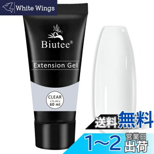 yzBiutee  WFlC |lCWF GNXeVWF 60g UV LEDCgΉ Sҗp (NA)