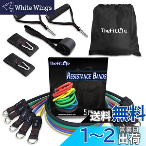 yzTheFitLife g[jO`[u `[u g[jO ؃g`[u (////)