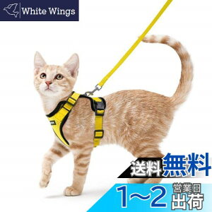 yzRabbitgoo L n[lX [h Zbg Ȃ Lpn[lX \tgy Lp ^ ^ U ЊQ ́[˂ [ グ TCY߉ 锽 ʋC