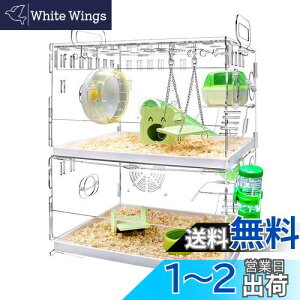 yzYOKITOMO nX^[P[W tNK  g ^т₷ g[fUC |₷I ʋC 2KfUC AN (ΐF)