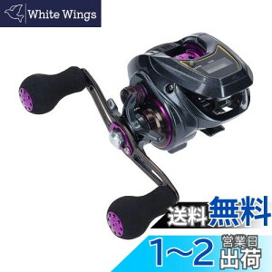 yz_C(DAIWA) LIGHT SW X IC R JE^[txCg[