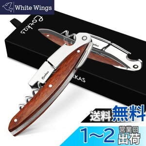 yzCORKAS \GiCt CI[vi[ RN 𔲂 v XeX ؐnh