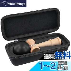 yziP[X̂݁j{ʋF Zp  ubN p[P[X-Aenllosi