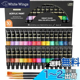 【送料無料】Shuttle Art アクリル絵の具 30色 チューブ 耐久性 速乾 防水 手作り 手軽 ブラシ付属 木/壁/陶器/ズックに描ける 子供用 イラスト 塗り絵 クラフト 美術 画材 宿題 初心者 専門家