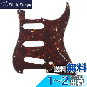 yzMusiclily 11 SSS XggsbNK[hFender American/Mexican Standard XggLX^[GLM^[pA4Pꈍb