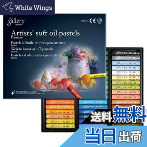 �y���������zMungyo Gallery Soft Oil Pastels Set of 48 - Assorted Colors by Mungyo Gallery