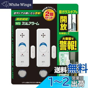 yzGp(ELPA) ^A[Jm h }Olbgm p[zCg 2 ASA-M12-2P(PW)