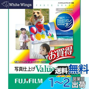 yzFUJIFILM ʐ^p   A4 100 WPA4100VA