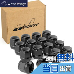 �y���������zGAsupply ���O�i�b�g M12 x P1.5 �z�C�[���i�b�g �e�[�p�[��60° ����24mm 19HEX �}�c�_/�_�C�n�c/�O�H�ɂɑΉ� �X�`�[���� 16�Z�b�g �u���b�N