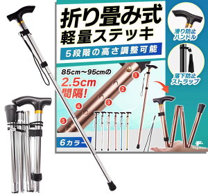 yzyŌtďCzfogman  ܂肽 y XebL  j   Lk 5iK (Vo[)