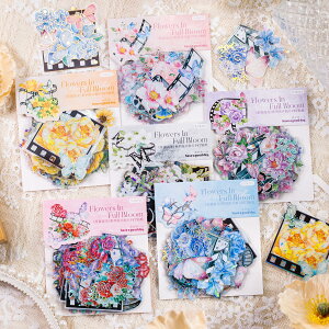 yzAlideco120 V[ t[NV[ R[W f y[p[ fގ [X[gsAXebJ[g ԁAAA ؍̏̎q COV[ Cpm[gfށAL