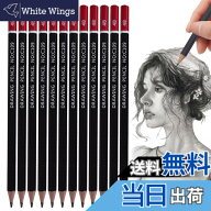 【送料無料】PAVIKE 書き方鉛筆 4b 書きやすい 12本セット 太芯 硬筆書写用かきかた鉛筆 デッサン用鉛筆…