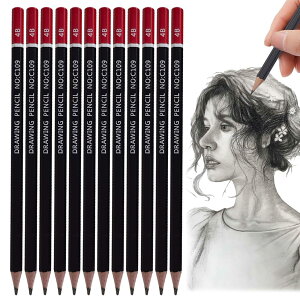 【送料無料】PAVIKE 書き方鉛筆 4b 書きやすい 12本セット 太芯 硬筆書写用かきかた鉛筆 デッサン用鉛筆丈夫で芯が折れにくい 六角軸 絵画 スケッチ 描画 学生や専門家のためのアーティスト鉛