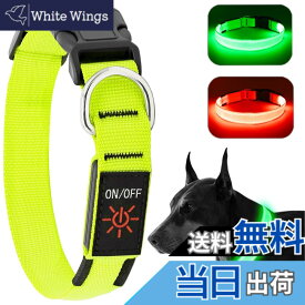 【送料無料】KOSKILL LED光る首輪 犬用 散歩 夜 ライト USB充電式 小型犬 中型犬 大型犬 安全性 サイズ調整可能 視認距離500mで夜間も安心(グリーン, M)