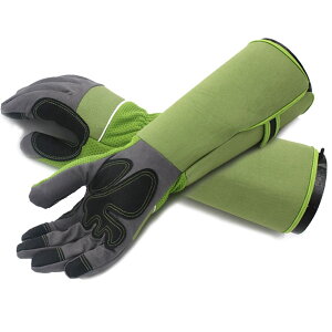 TARATI K[fjO K[fO[u vtFbVi T{e [Y o̎  KÑgQ [YO[u ϖ O Ǝ |p Sی h