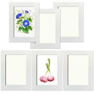 Haojiaho q̊G Wp tHgt[ 6Zbg 11.7*16.8cm  A[gt[ yیtB + Ǌ|pSV[g tz G拳 G W y[p[tHgt[ y  