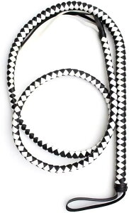 yzLyyxjsltd n U[  np S̔n̕ځȀ_炩ċǑgp̕ځA_Chnh̔np̔n̕ڂ̍앨A@\ ňPn̂