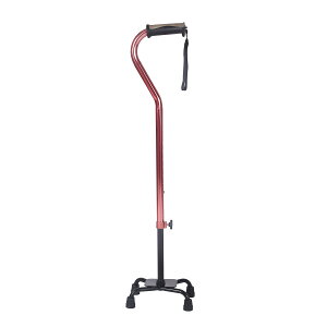 yzSUKONG  4_  p y  Lk ߉\ XebL s⏕  nr hV̓ (bh)