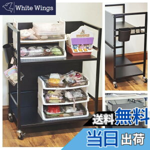 �y���������zSecchuu ���B�� �X�`�[�����b�N2�i �f�X�N�^�[�i �f�X�N�����[ �{��4.5kg �ω׏d30kg ��50x���s30x����64cm �L���X�^�[�t�� �I PS5���u�����b�N �X�^���h ���[���S�� �v�����^�[�� �T�C