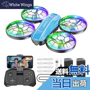 �y���������z�h���[�� 100g���� Holyton �q������ D33 �F�F�u���[(�J��������)