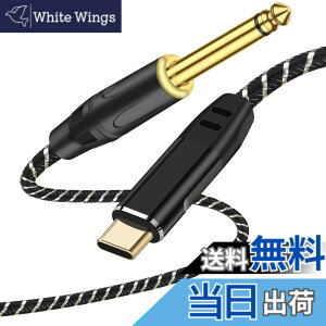 �y���������zUSB Type-C�M�^�[�P�[�u���A�y��p�^�C�vC - 6.35mm�I�X�ϊ��R�[�h �T�C�Y�F3M