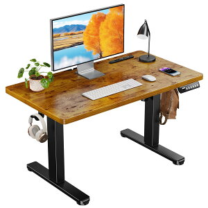 �y���������zErGear �d�� ���~���f�X�N ���[�^�C�v �F�F�r���e�[�W�A�T�C�Y�F90*50cm