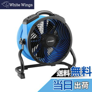 �y���������zXPOWER���^���[�^�[���@�\�v���t�F�b�V���i����C�z�t�@���A�t���A�u�����[�A�����t�@�� �F�FBlue�A�T�C�Y�FFC-300