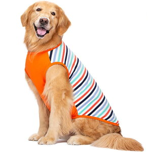 �y���������zKUVEELA PET ���� �� ���̕� �� �� �t �ĕ� �h�b�O�E�F�A T�V���c ���o�|�� ���U�� ���Ă��h�� �E�ѕی� �ʋC�� ������� ��^�� ���^�� �F�F�I�����W�A�T�C�Y�FXL