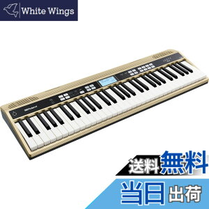 �y���������zRoland ���[�����h/JUSTY HK-100 �n�[���j�[�����Y�����K�p�L�[�{�[�h ���t�y ���� ���t �`���[�j���O ��b���K �I�[�P�X�g�� �p�[�g���K �u���X�o���h ������ �F�F�S�[���h