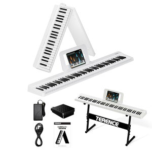 �y���������zTERENCE �d�q�s�A�m 88���� V20-Z �F�F�z���C�g