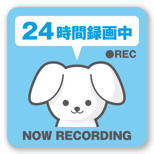 yzhƃXebJ[  񂿂 hƃV[ 10cm×10cm 2 2 Zbg h XebJ[ V[ hƃJ hR hCuR[_[  \ \  璣^C