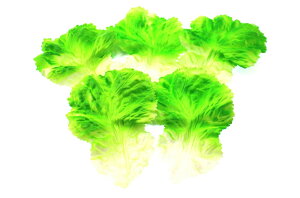 【送料無料】Speed mao 本物 そっくり サニーレタス 青菜 野菜 食品サンプル 模型 5枚 セット 色:ブルー