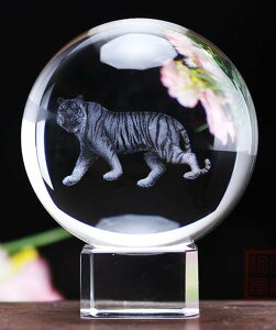 yzspeed mao  NX^ KX     t 5cm ^CAbv 