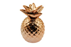 yzspeed mao Z~bN pCibv^  sNS[h FFsNS[hATCYF1