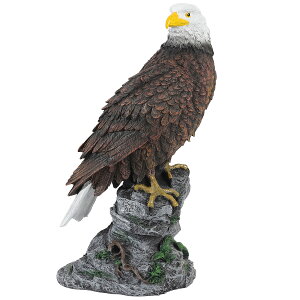 yzakindou  z[N u 30cm XY JX Nh ng RE ̔Q fRC  FFuEATCYF30cm