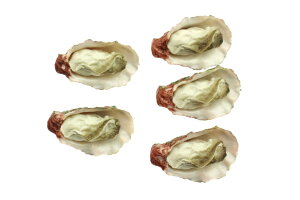 yzspeed mao {   y Hi͌^ HiTv 5 Zbg