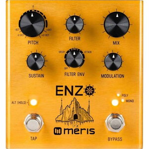 yzMeris EZO-DST Enzo Pedal }`{CXVZTCU[y_ GtFN^[