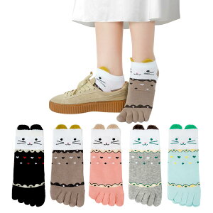 yz[Yazon] 5{w\bNX fB[X   LC Ԃ ܖ{w\bNX  ʋCz 5{wC ic p X|[c t w V[g\bNX 