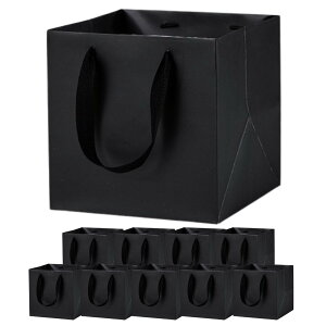 【送料無料】Archnote 紙袋 手提げ ギフト用 マチ広 ギフトバッグ 中 黒 正方形 20cm角 25cm角 10枚 色:ブラック、サイズ:5×25×25cm