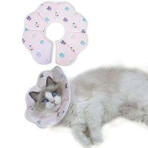 yzWISSUA GUxXJ[ y ʋC PK  rߖh~ ~h~ Lp ^p y \tg pPA 􂢐 _炩  FF_[Nu[