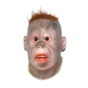 yz[TOMMYFIELD] |}XN A IE[^ RXv 蕨 nEB T ] [sAi] FF}XN