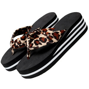 yz[Nestkanina] T_  fB[X EhgD Vv gOT_ r[` 킢 RtH[g x[VbN ₷ ₷ r ʋ ʊw s SDL006 FFu