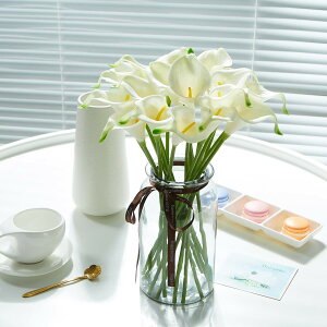 yz I_JCE VO cally lily AW 20{ ԑ  p[eB[ lX Cxg CeA  FFzCgO[