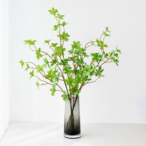 yzWillingYou tFCNO[ hE_ccW 4{Zbg lHϗtA  CeAO[ Ηt EH[^[^Cv 70cm { A  ItBX rO 