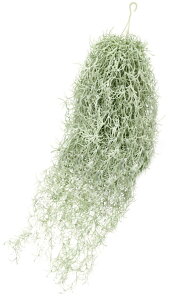 yzelrinrin lHϗtA tFCNO[  XpjbVX ݂艺 CeA Ǌ| 1 80cm