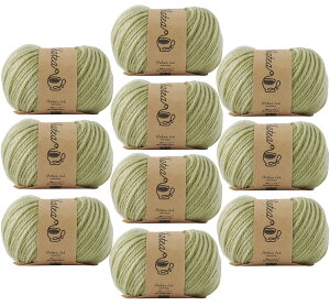 yzE[ Knitworm ю 10ʃZbg `eBAN  30g(66m) AN100% FF4.