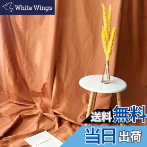 �y���������zLezalic �w�i�z 300cm*240cm ���n ���n ���B�� �B�e�p ���� �ʐ^ ���p�r �V�����t���ɂ��� �o�b�N �X�N���[�� �X�^�W�I �z �N���X �F�F�J�t�F�I���A�T�C�Y�F�}�b�g �C�[�X�^�[ gopro ��