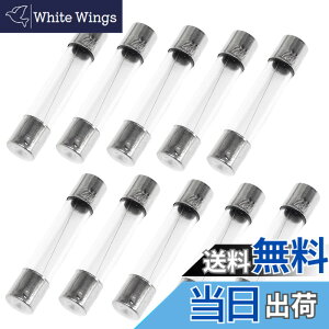 �y���������z�K���X�ǃq���[�Y 250V ��i�d�� �V�o�ǃq���[�Y �~�j�� �q���[�Y �t�@�X�g�u���[�^�C�v �K���X�~�j�ǃq���[�Y ��6x30mm 10�{���� �T�C�Y�F0.5A